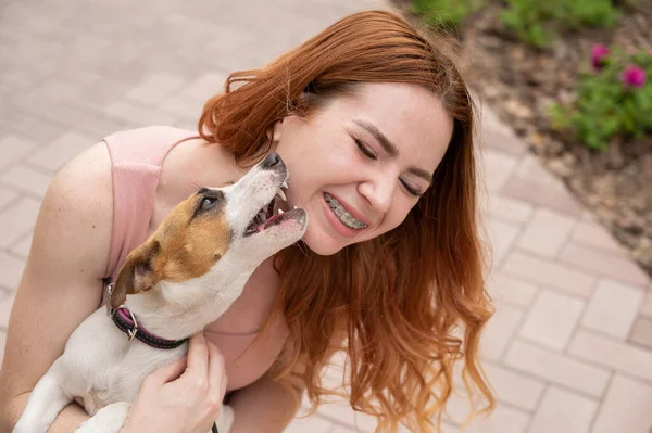 Dog Jack Russell Terrier Slickar Ägaren Ansiktet Utomhus — Stockfoto