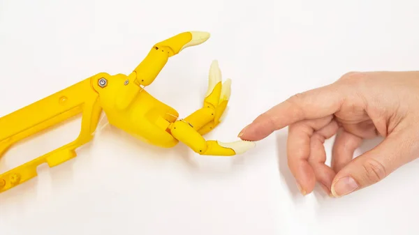 Womans hand and a plastic hand prosthesis for a child on a white background