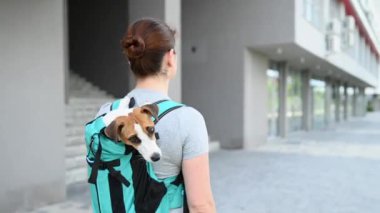 Beyaz bir kadın özel bir sırt çantasıyla köpek Jack Russell Terrier ile dışarı çıkıyor.