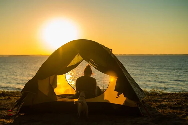 Femme Chien Dans Une Tente Touristique Coucher Soleil Camping Avec — Photo