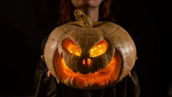 The witch is holding a pumpkin jack about a lantern glowing in the dark. Halloween
