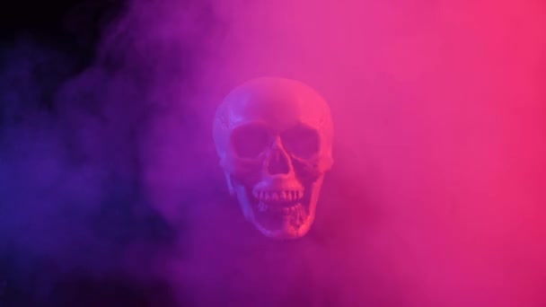 黑色背景上的粉色和蓝色烟雾中的人类头骨 万圣节 — 图库视频影像