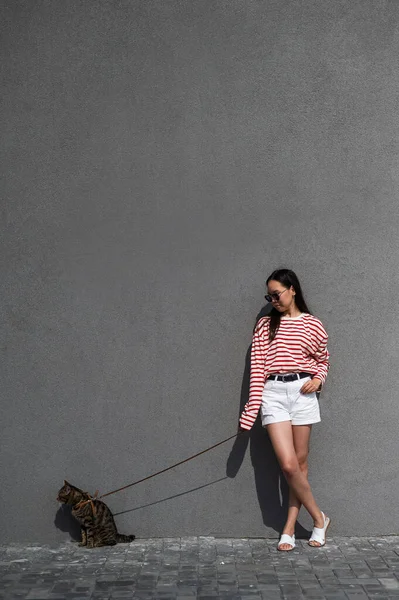 Young Woman Walks Gray Tabby Cat Leash Gray Wall — Stock Photo, Image