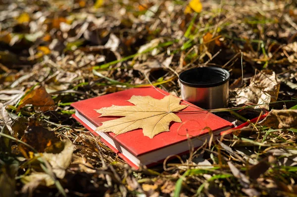 Sonbaharda sıcak çay, kırmızı kitap ve sarı akçaağaç yaprağı.