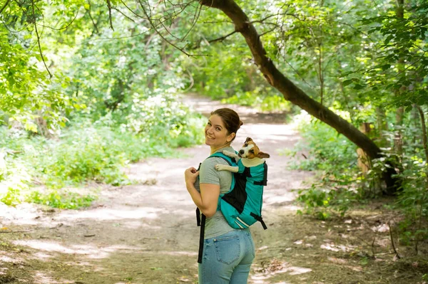 Beyaz Bir Kadın Özel Bir Sırt Çantasıyla Köpek Jack Russell — Stok fotoğraf