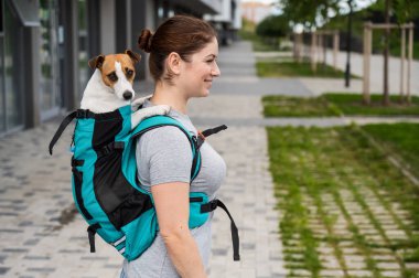 Beyaz bir kadın özel bir sırt çantasıyla köpek Jack Russell Terrier ile dışarı çıkıyor.