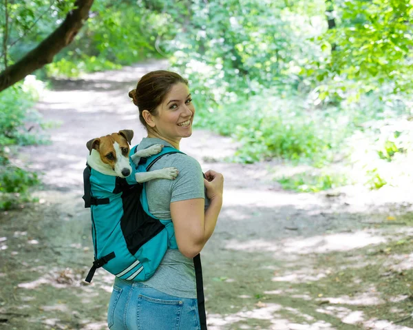 Caucásico Mujer Caminando Aire Libre Con Gato Perro Russell Terrier — Foto de Stock