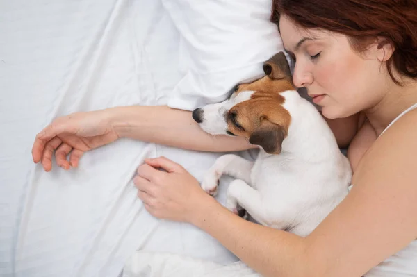 Mulher Caucasiana Está Cochilando Cama Abraçando Seu Cão Amado — Fotografia de Stock