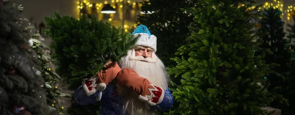 Rosyjski Święty Mikołaj Kupuje Choinkę Sklepie — Zdjęcie stockowe