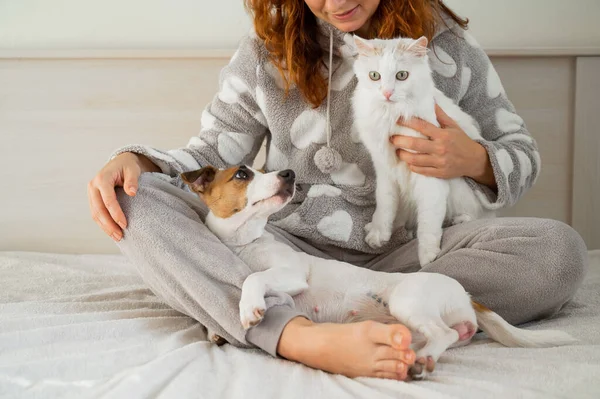 Blanke Vrouw Met Een Witte Pluizige Kat Jack Russell Terrier — Stockfoto