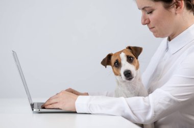 Dizlerinin üzerinde köpek Jack Russell Terrier ile çalışan beyaz bir kadın.
