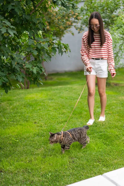 Giovane Donna Che Cammina Gatto Tabby All Aperto — Foto Stock