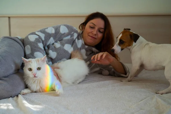 Blanke Vrouw Met Witte Pluizige Kat Jack Russell Terrier Hond — Stockfoto