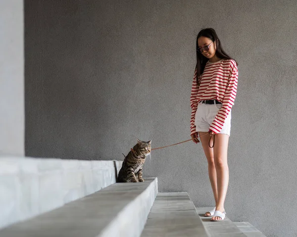 여름에 고양이와 산책하는 여자가 줄을달고 야외에서 — 스톡 사진