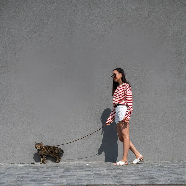 Una Giovane Donna Cammina Con Gatto Tabby Grigio Guinzaglio Contro — Foto Stock