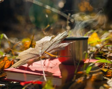Sonbaharda sıcak çay, kırmızı kitap ve sarı akçaağaç yaprağı.