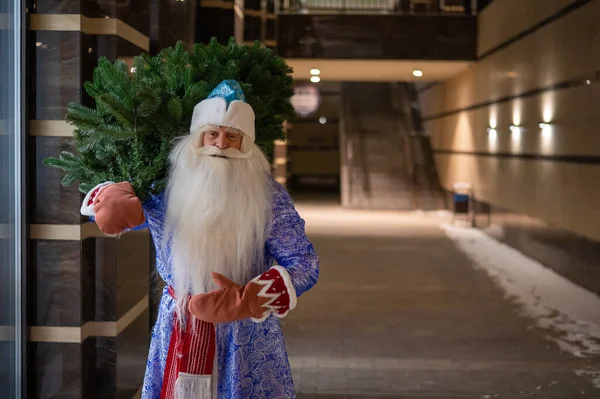 Ρωσική Santa Claus Μεταφέρει Ένα Χριστουγεννιάτικο Δέντρο Νύχτα Εξωτερικούς Χώρους — Φωτογραφία Αρχείου