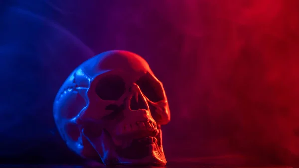 Crâne Humain Fumée Rose Bleue Sur Fond Noir Halloween — Photo