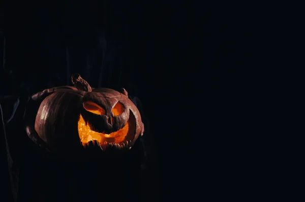 Bruja Sostiene Gato Calabaza Linterna Que Brilla Oscuridad Halloween — Foto de Stock