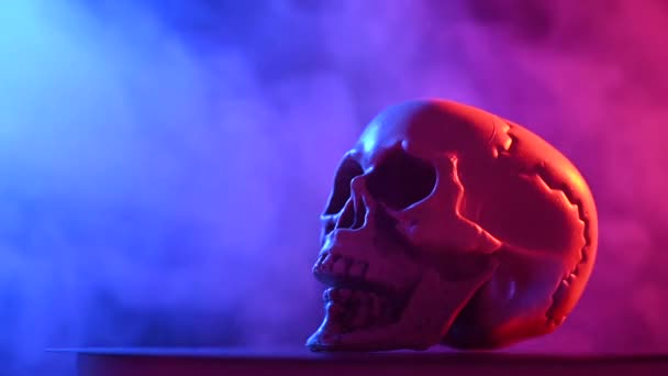 人类的头骨在黑色的背景上旋转着粉色和蓝色的烟雾 万圣节 — 图库视频影像
