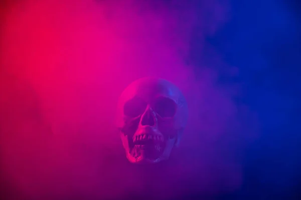 Menselijke Schedel Roze Blauwe Rook Een Zwarte Achtergrond Halloween — Stockfoto