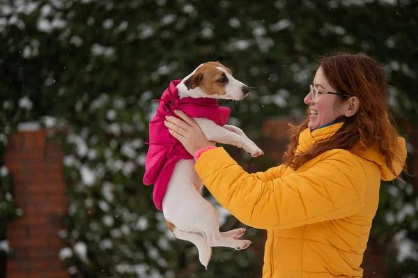 Caucasian woman hugging with dog while walking in winter. Jack Russell Terrier in a warm pink jacket