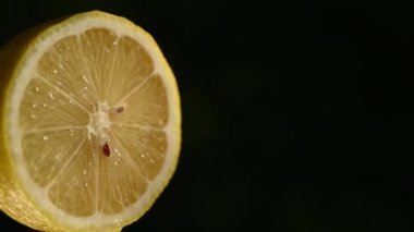 Siyah arka planda dönen yarım limon. Boşluğu kopyala