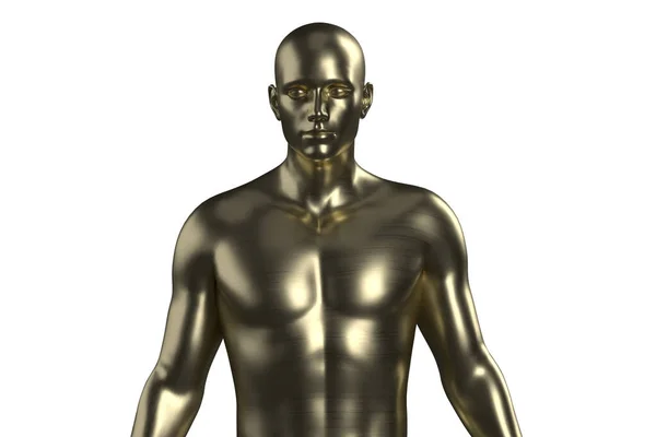 Ilustrace Mužského Zlatého Trupu Bílém Pozadí Kovová Figurína — Stock fotografie
