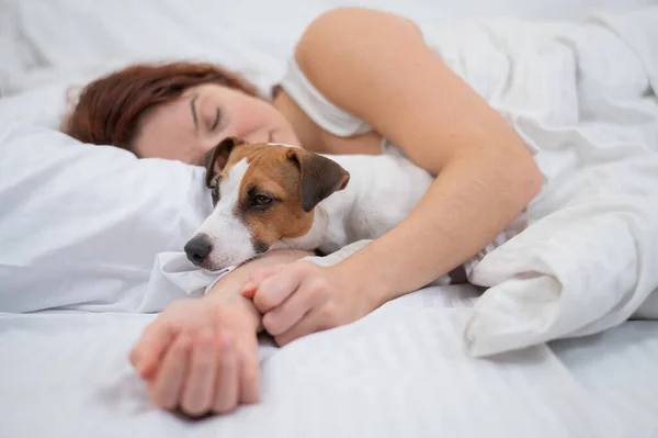 Mulher Caucasiana Está Cochilando Cama Abraçando Seu Cão Amado — Fotografia de Stock