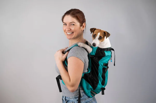 Caucásico Mujer Lleva Jack Russell Terrier Perro Mochila — Foto de Stock