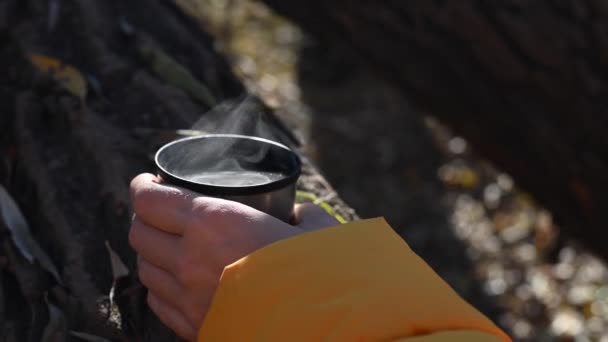 Una Mujer Sostiene Termo Caliente Sus Manos Día Frío Otoño — Vídeos de Stock