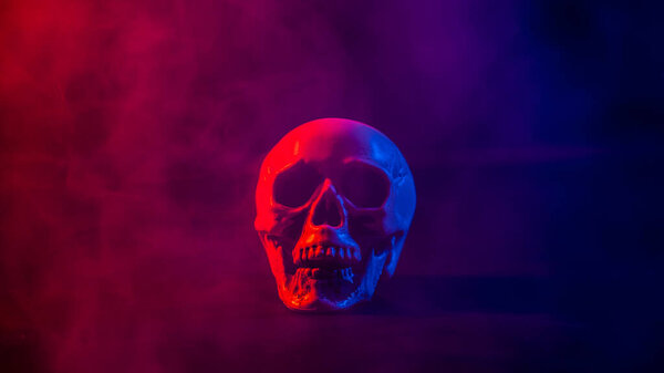 Человеческий череп в розовом и голубом дыму на черном фоне. Хэллоуин