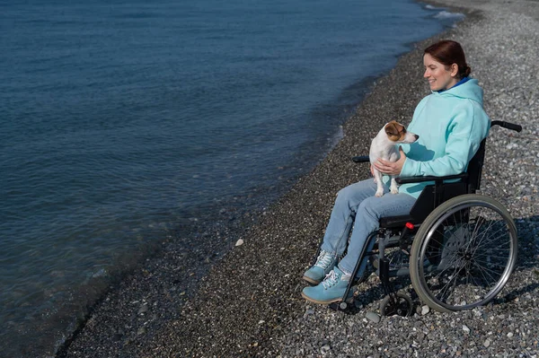 Caucasian woman in a wheelchair with a dog at the sea