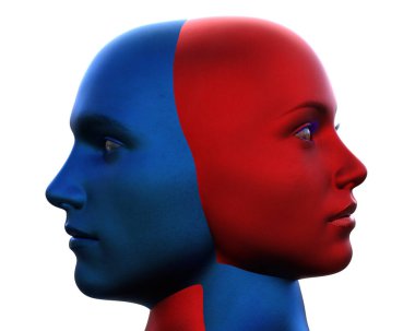 3 boyutlu görüntüleme. Beyaz arka planda bir erkek mavi kafa ve kırmızı bir kadının birleşmesi.