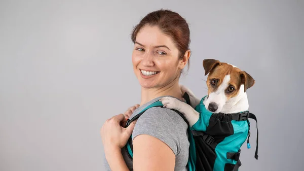 Caucásico Mujer Lleva Jack Russell Terrier Perro Mochila — Foto de Stock