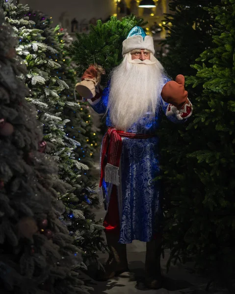 Père Noël Russe Dans Magasin Arbres Noël Artificiels — Photo