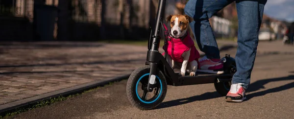 Bir Kadın Kır Evi Köyünde Köpeğiyle Birlikte Elektrikli Scooter Kullanıyor — Stok fotoğraf