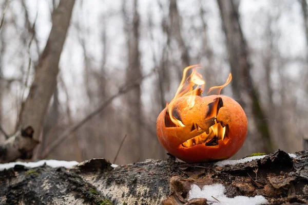 Ijesztő Tök Lángnyelvekkel Egy Sűrű Erdőben Jack Lámpás Halloween — Stock Fotó