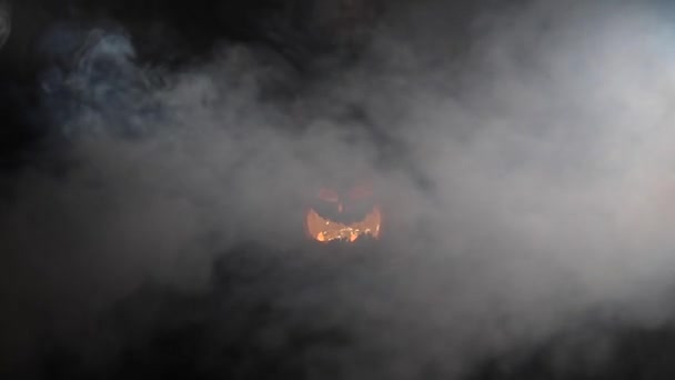 Bruja Sostiene Gato Calabaza Linterna Que Brilla Oscuridad Halloween — Vídeo de stock
