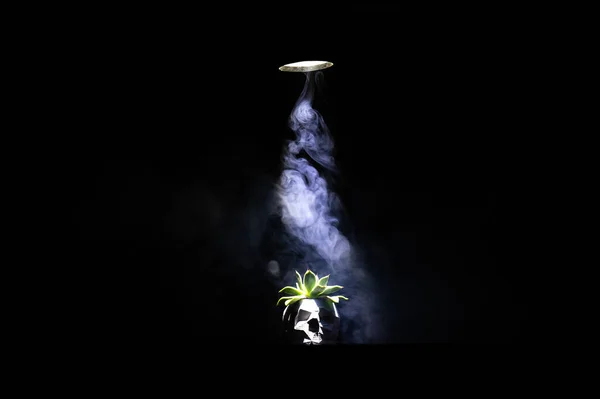 Rauch Über Einer Pflanze Einem Topf Form Eines Totenkopfes Auf — Stockfoto