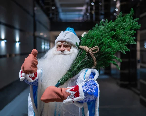 Papá Noel Ruso Lleva Árbol Navidad Por Noche Aire Libre —  Fotos de Stock