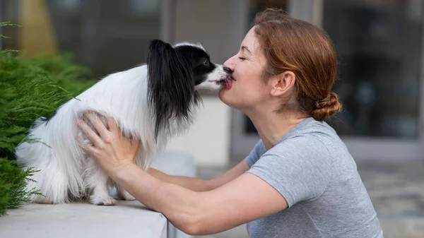 Caucasian red-haired woman kissing pappilion dog outdoors. Black and white continental spaniel