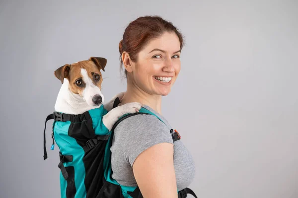 Caucásico Mujer Lleva Jack Russell Terrier Perro Mochila — Foto de Stock