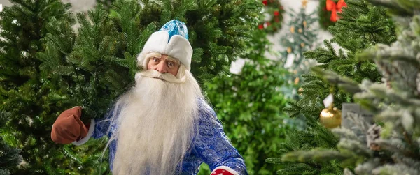 Russian Santa Claus Buys Christmas Tree Store - Stock-foto