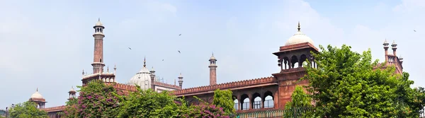 Delhi Jama Masjid Mosque — Stock Photo, Image