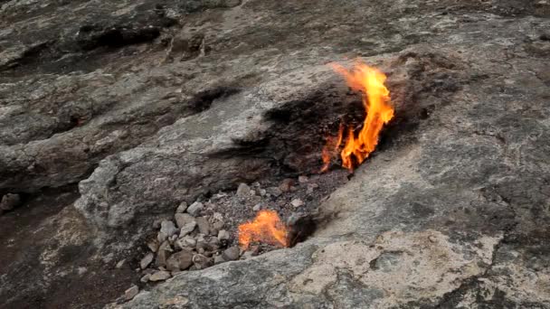 キメラ山の永遠に燃える火 トルコのアンタルヤ県ヤナルタス — ストック動画