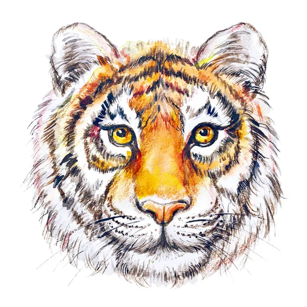 Visage Tigre Peint Aquarelle Isolé Sur Blanc Photo De Stock