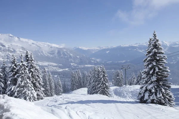 Drzewa zimą w góry pokryte puszystym śniegu. Szwajcaria, flims. — Zdjęcie stockowe
