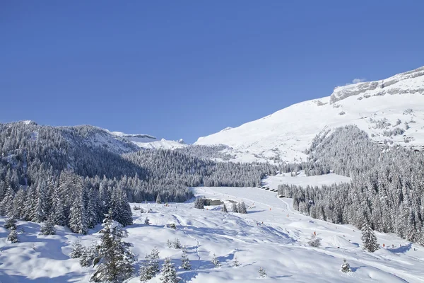 Árboles de invierno en montañas cubiertas de nieve fresca. Suiza, Flims . —  Fotos de Stock