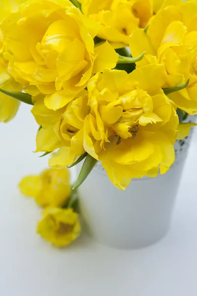Bouquet di primavera . — Foto Stock